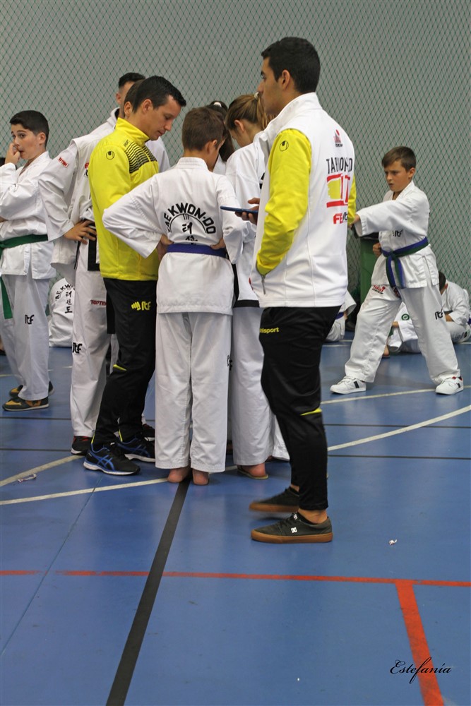 Copa Seul 2018 (409).jpg